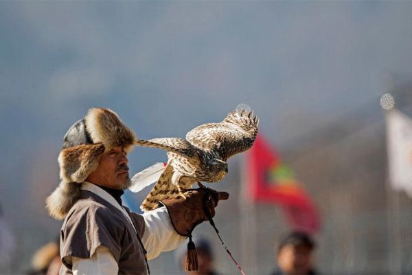 대전 무형유산 매사냥.jpg