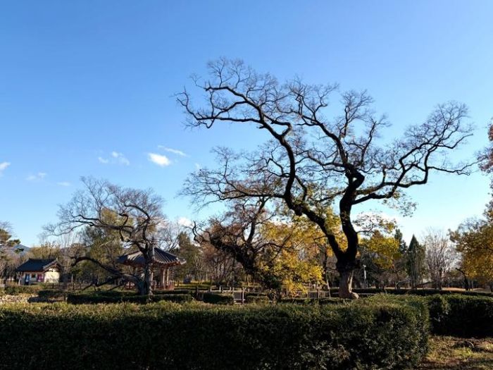 광양 유당공원 (3).jpg