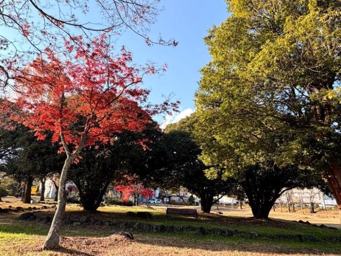 광양 유당공원 (4).jpg