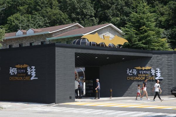 천곡황금박쥐동굴 .jpg