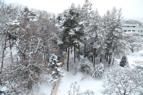 133살 최고령 반송.jpg