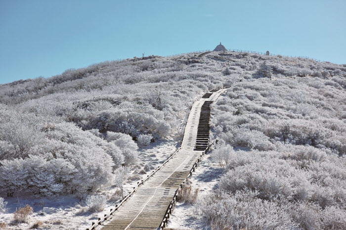 추천관광지- 구례 지리산 노고단.jpg