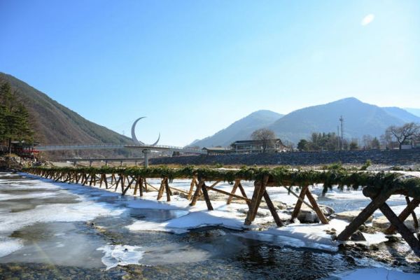 아우라지 섶다리.jpg