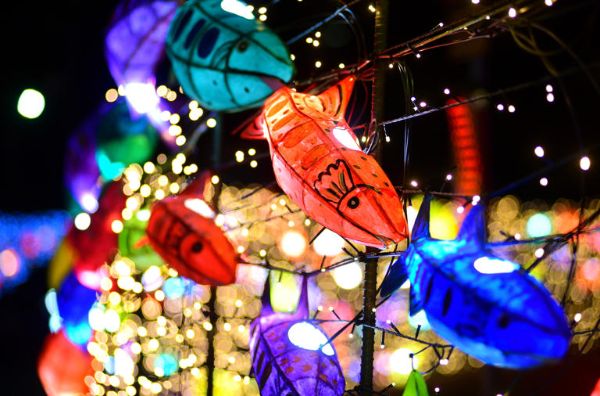 화천 산천어 축제.jpg