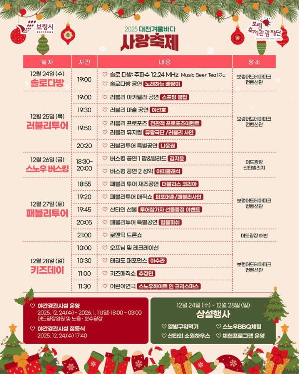 대천겨울바다 사랑축제.jpg