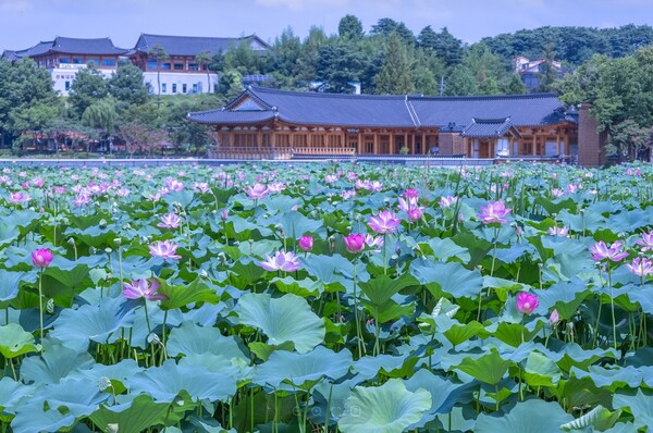 전주 덕진공원2.jpg