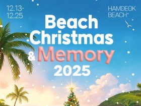 "겨울 제주 바다도 반짝인다”…함덕해변서 ‘비치 크리스마스’ 개막