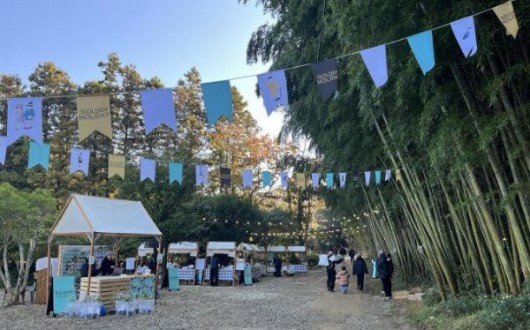 무안 '아우룸황칠 페스티벌' 개최…"40만평 규모"