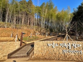담양여행지 산성산 도시숲, 치유·회복의 숲으로 새 단장
