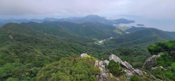 고흥 천등산.jpg