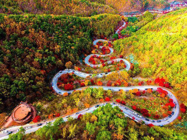 가을 단풍 단양 보발재.jpg