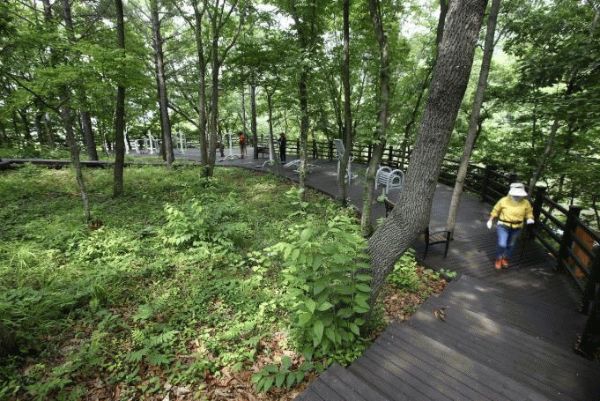 해남 금강저수지.jpg