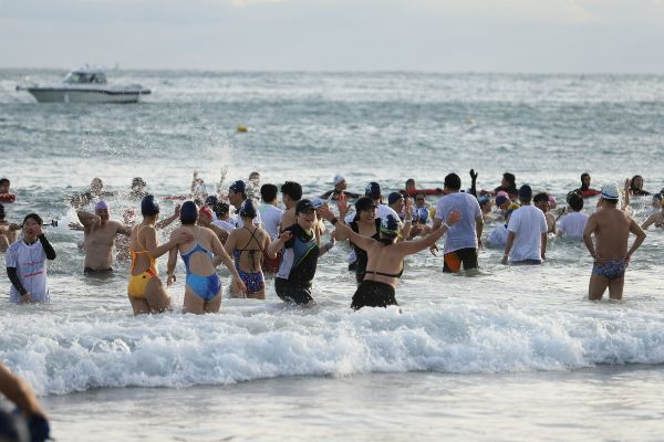 해운대 북극곰 축제.jpg