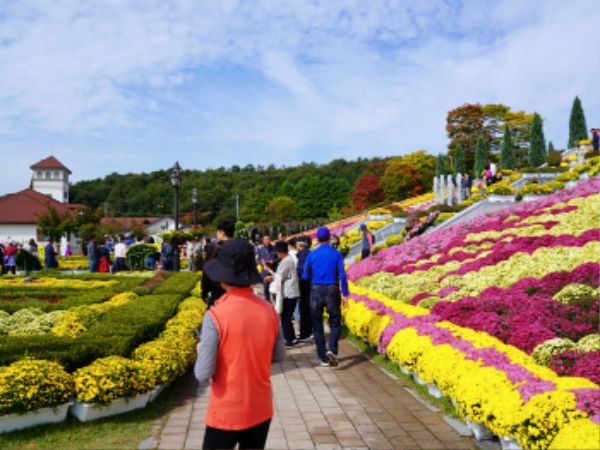 전북축제 임실치즈축제 초대가수 라인업 주차장 셔틀버스 안내 10월 여행 (4).jpg