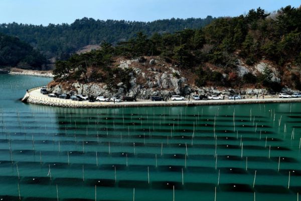 장흥 매생이 양식장 사진명소.jpg