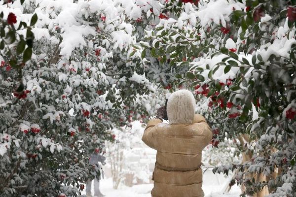 신안 1004섬 분재정원.jpg