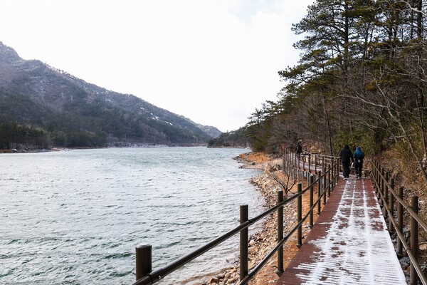 영암군 도갑제 수변길.jpg