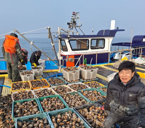 홍성 남당항 참소라.jpg