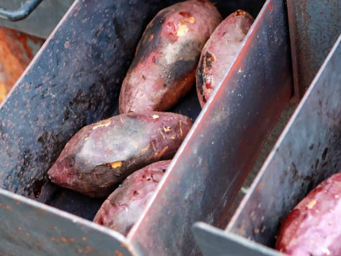 강원도 태백산눈축제 2026 가수 가는법 주차장 기본정보 여행 (4).jpg