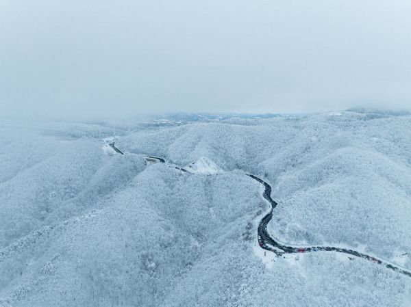 대관령 옛길.jpg