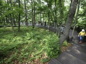 해남군, 금강저수지 빛의 수변공원 랜드마크 조성