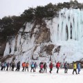 눈과 얼음의 향연, 제14회 철원 한탄강 얼음트레킹 축제 17일 개막