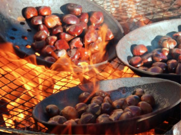 공주가볼만한곳 겨울공주 군밤축제 2026 금강신관공원 주차 여행 (4).jpg