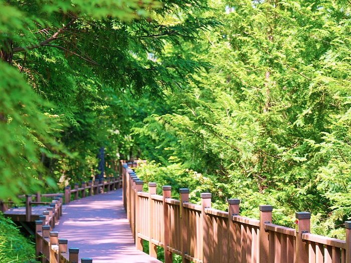 무장애 데크길.jpg