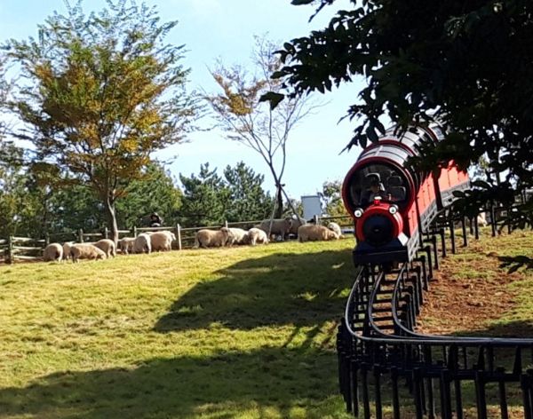 경남 거제 숲소리공원.jpg