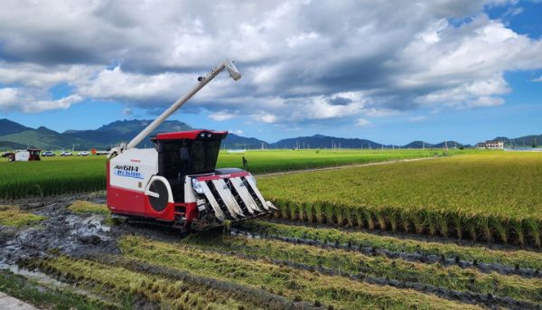 전남 수급조절 벼재배 농가.jpg