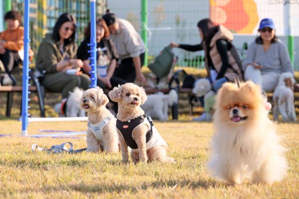 임실군 오수의견캠핑장.jpg