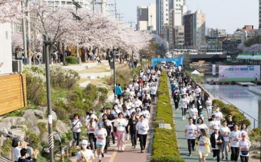은평구, 2026 불광천 벚꽃 마라톤대회 3월 29일 개막