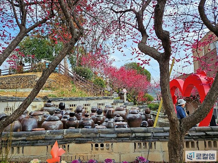 전남가볼만한곳&nbsp;순천&nbsp;탐매축제 (3).jpg