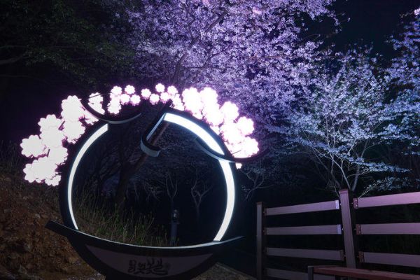 고성 대가십리벚꽃길.jpg