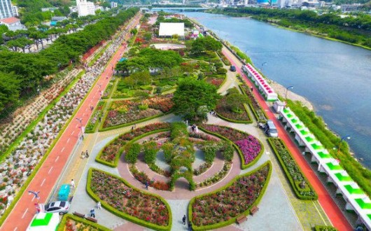 장미로 물든 삼척…‘2026 삼척 장미축제’ 5월 19일 개막