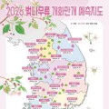"2026 벚꽃 만개 시기는?"…시민이 기록하는 '벚꽃엔딩 프로젝트'