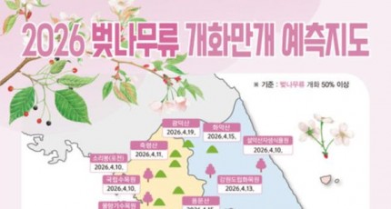 "2026 벚꽃 만개 시기는?"…시민이 기록하는 '벚꽃엔딩 프로젝트'