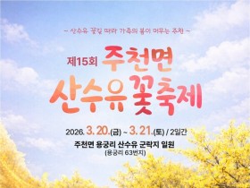 돌담길 따라 노란 봄빛, 남원 주천 산수유꽃축제 열린다