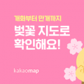 벚꽃 언제 피나?… 카카오맵으로 실시간 개화 상태 확인하는 방법