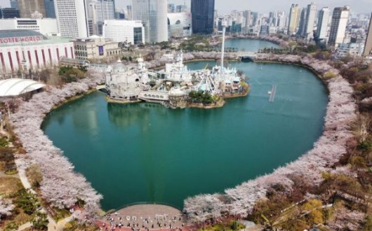 거미·앳하트 출연… 석촌호수 벚꽃축제, 9일간 화려하게 피어난다