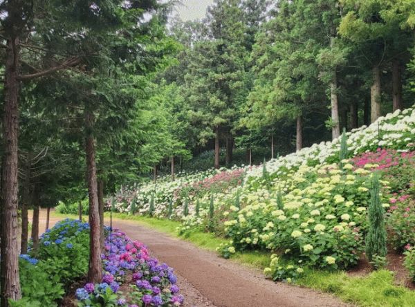 전남도 예쁜정원 콘테스트.jpg