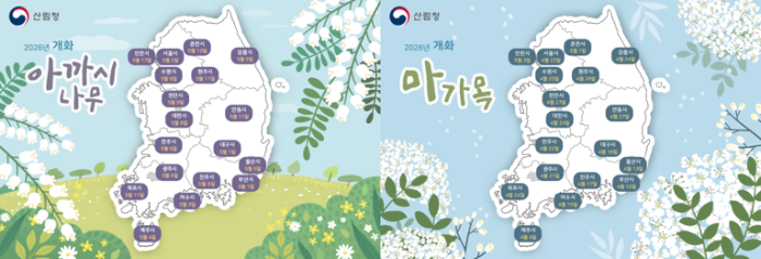 마가목 아카시.png