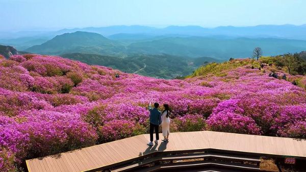 합천 한달여행.jpg
