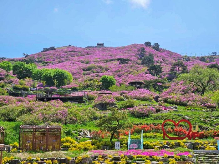 경남 산청 황매산철쭉제 (3).jpg