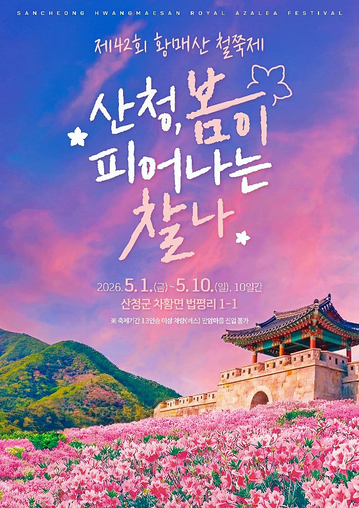 경남 산청 황매산철쭉제 (4).jpg