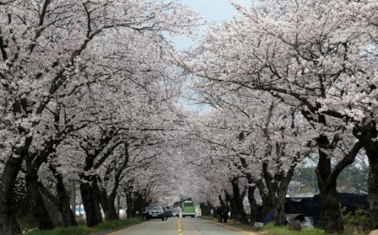 영암군, 여행비 최대 75% 환급하는 '지역사랑 휴가지원 사업' 시행