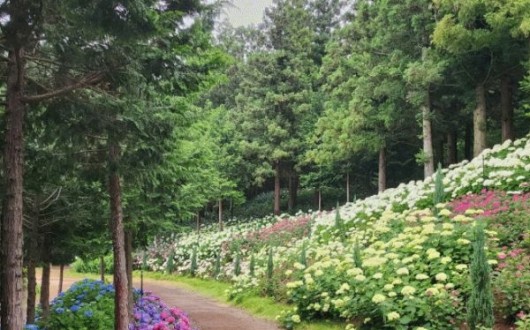 '2026 전라남도 예쁜정원 콘테스트' 4월 30일까지 접수