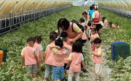 섬진강 유채꽃밭 품은 광양 섬진강끝들마을, 전남 4월 농촌체험마을 선정