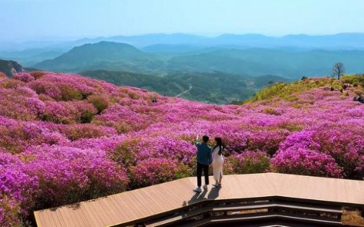 경남 합천 '다라고 스테이' 20팀 모집…숙박비·체험비 지원