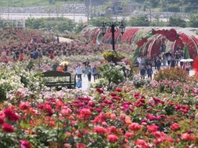 춘향제·전주영화제·탱고마라톤까지…5월 전북 황금연휴 축제 총정리